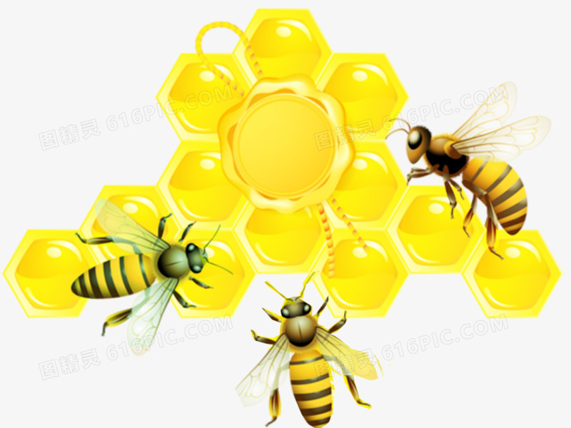 手绘蜜蜂和蜂王浆素材