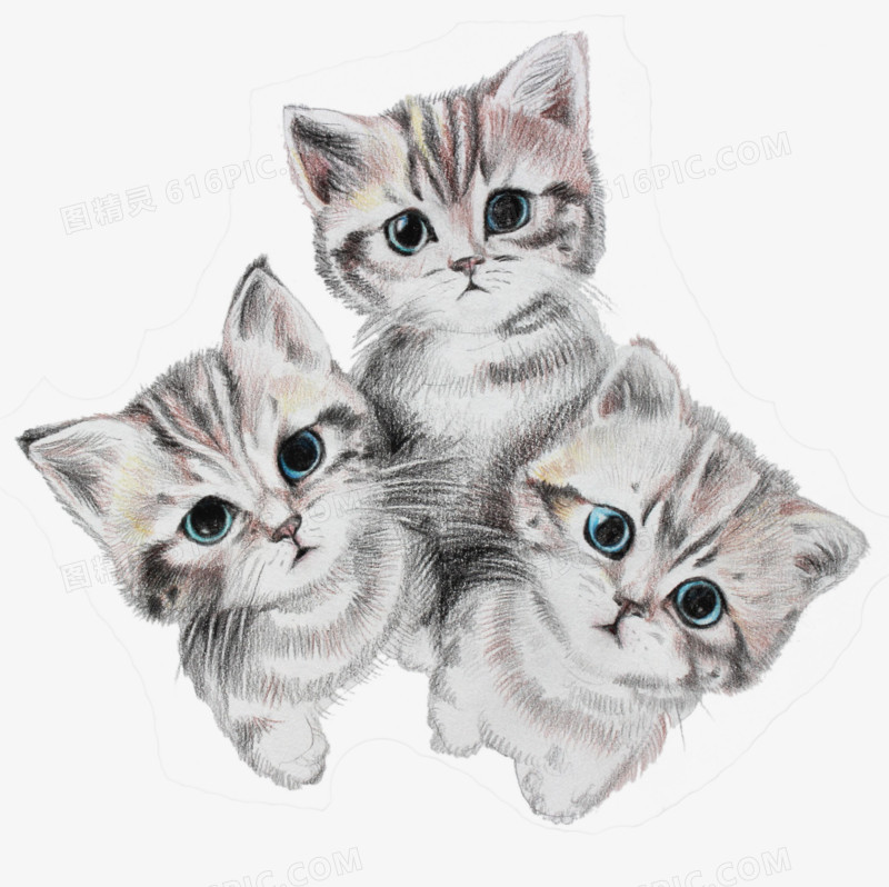 手绘三只灰色猫咪