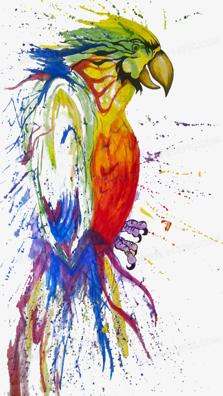 彩色水墨鹦鹉