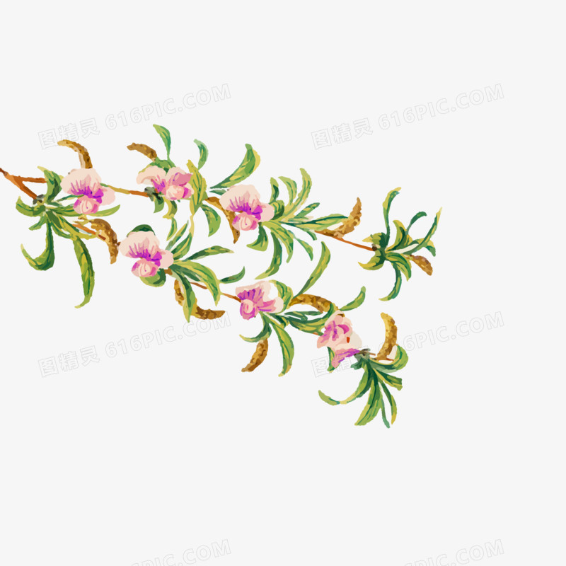 手绘水彩海棠花素材