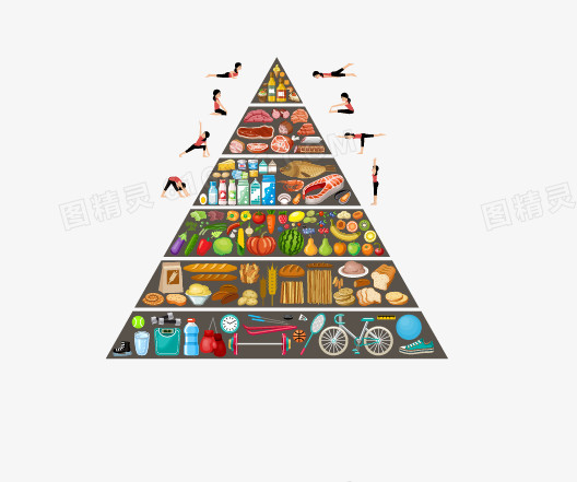 膳食健康金字塔矢量素材