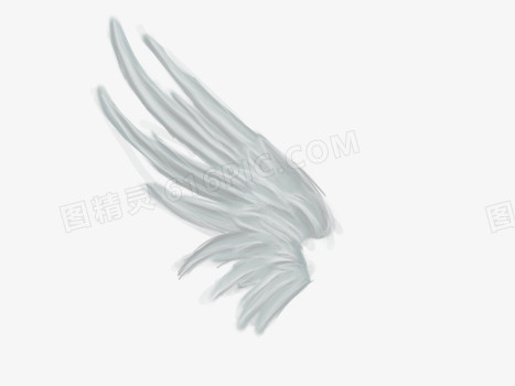 白色的天使翅膀