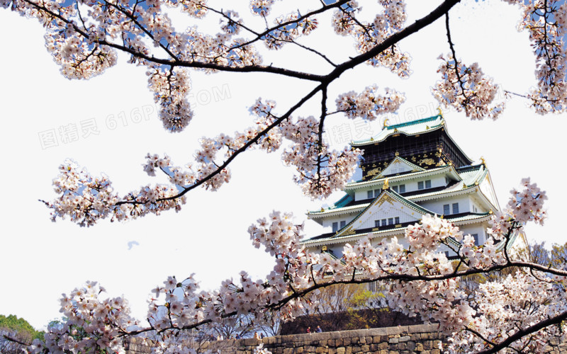 日本大阪城市风景