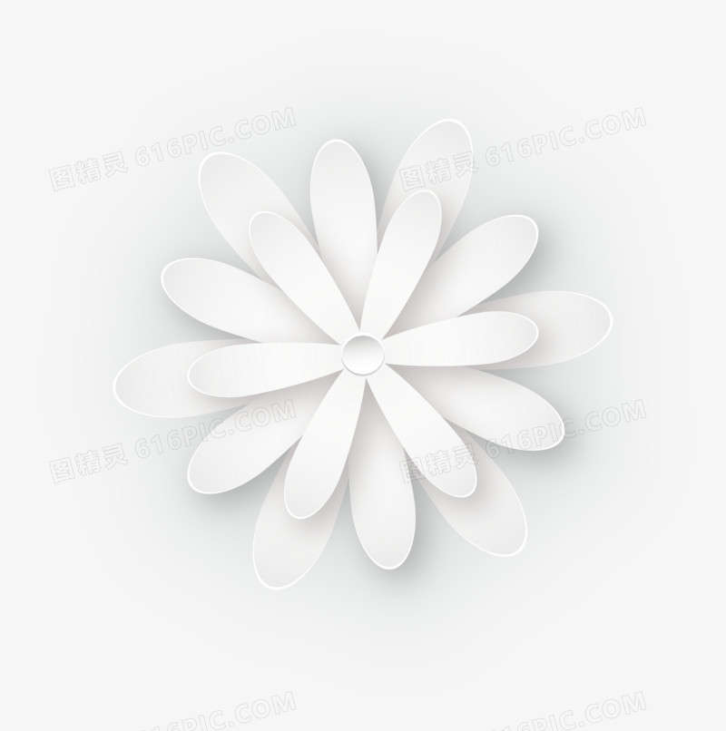 白色细长花瓣花朵手绘