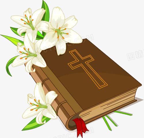 百合花和圣经书