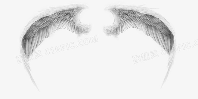 翅膀黑白色翅膀天使精灵装饰