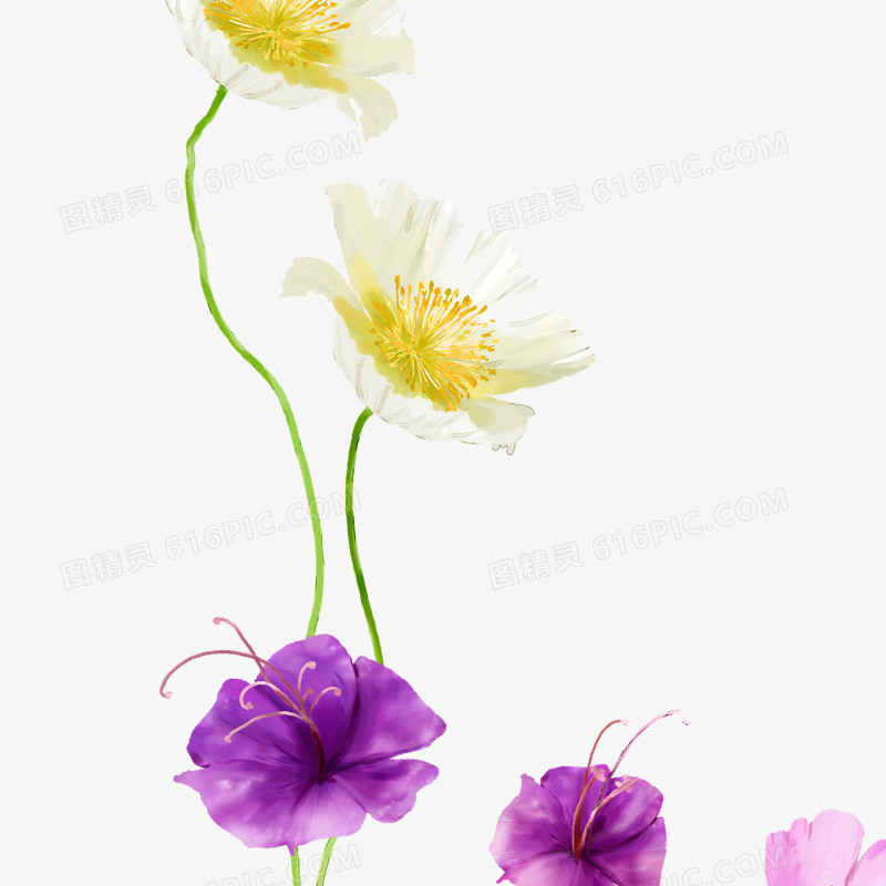 花卉