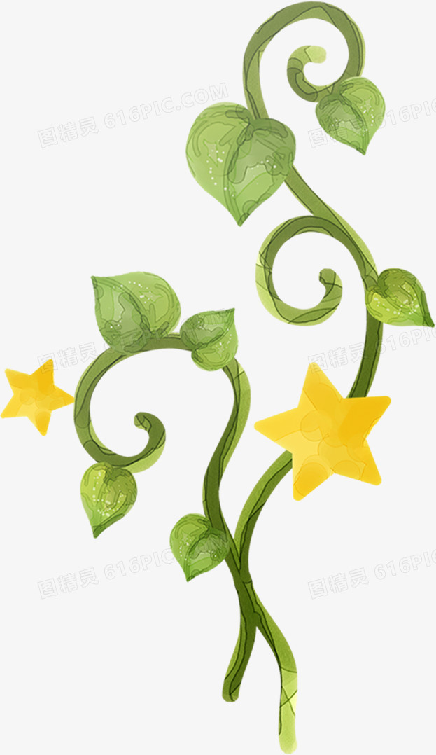 手绘绿色树叶黄色五角星果实