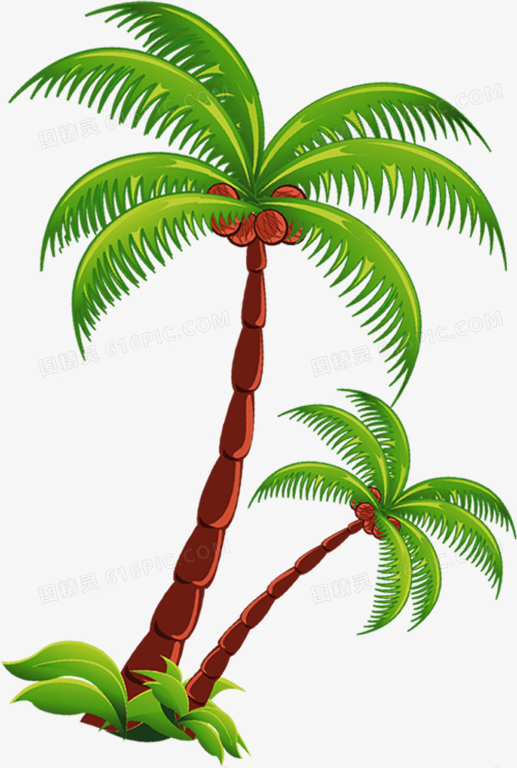 椰子树叶子夏季装饰