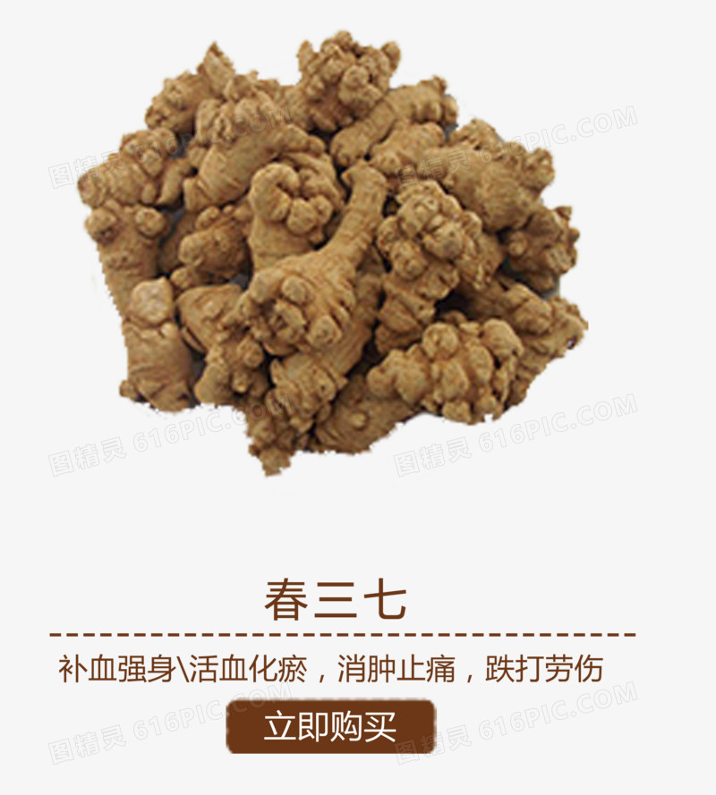 春三七