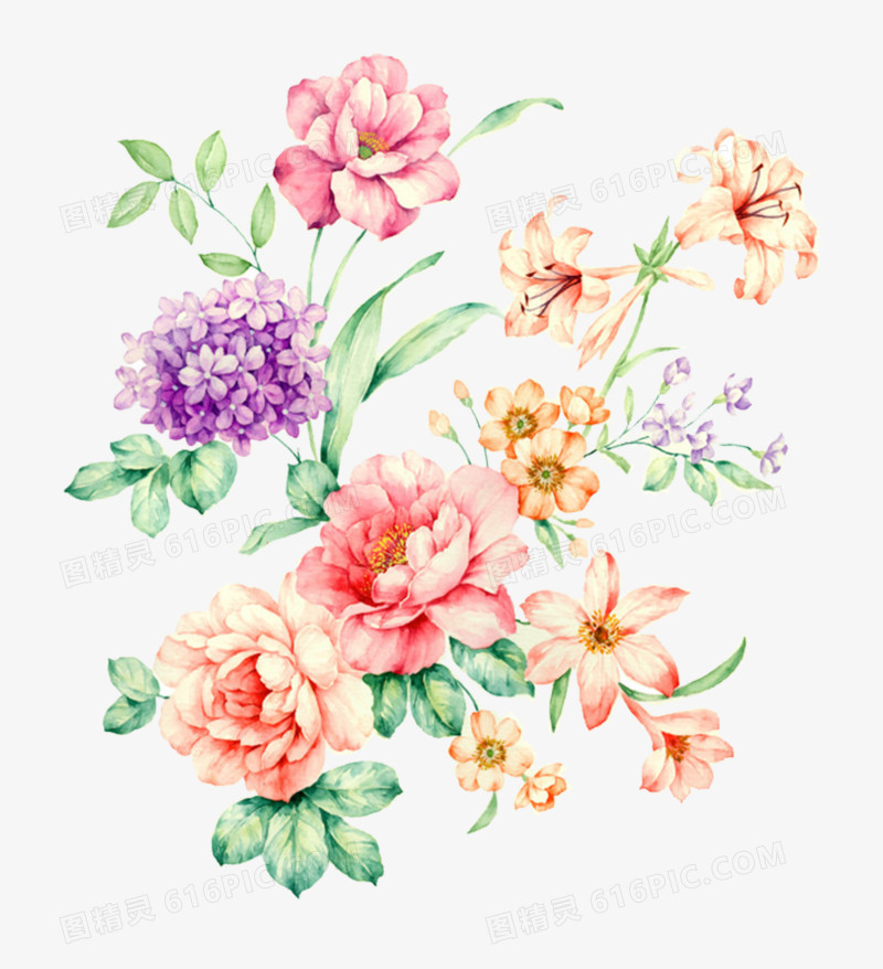 手绘花卉
