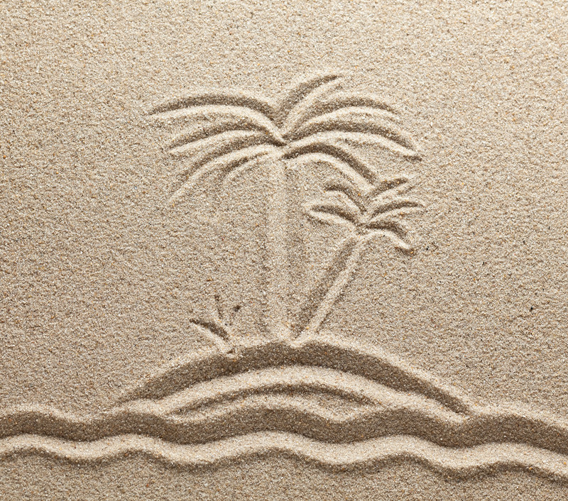 沙子上画的椰子树