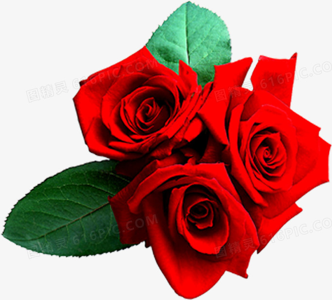 浪漫情人节玫瑰花束