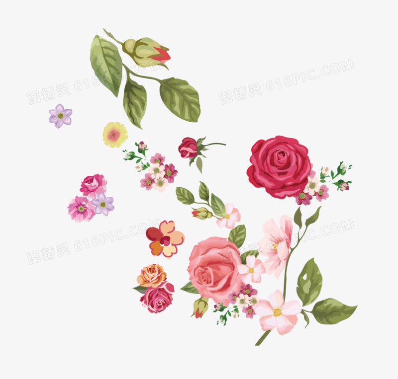 手绘水彩玫瑰花朵