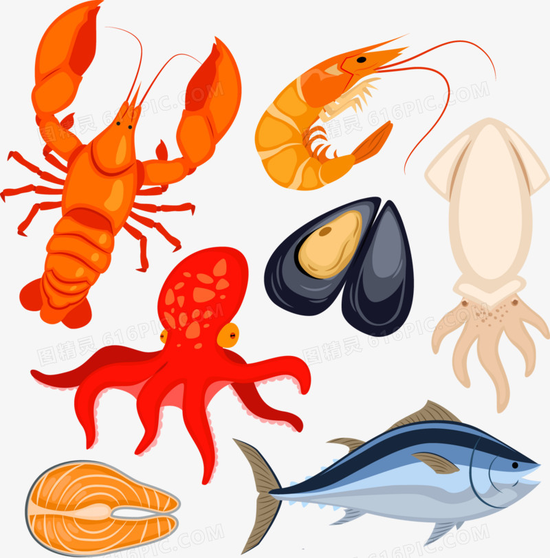 7款海洋生物与食物