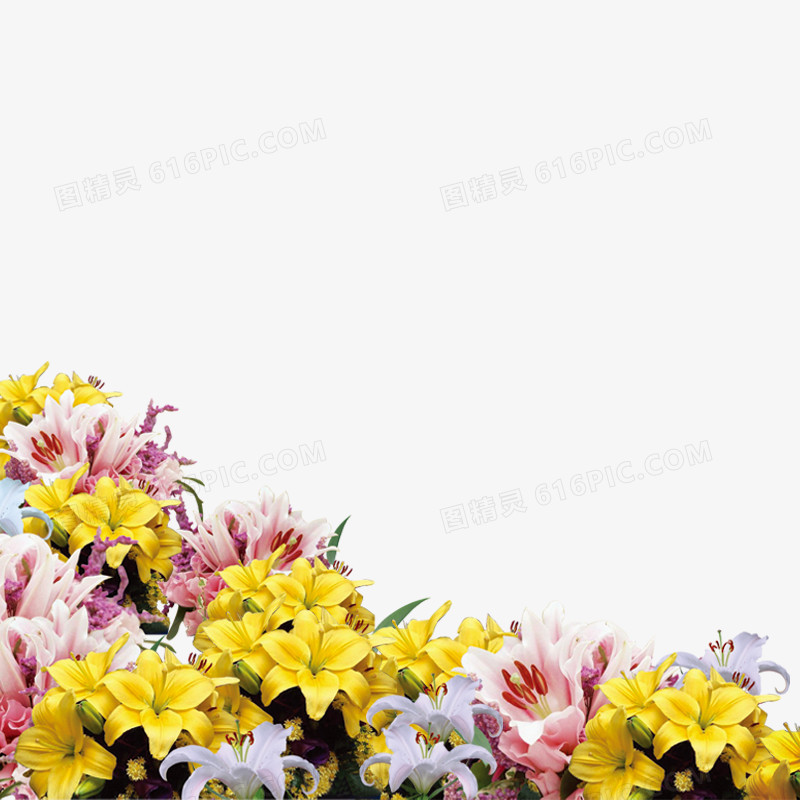 花卉素材