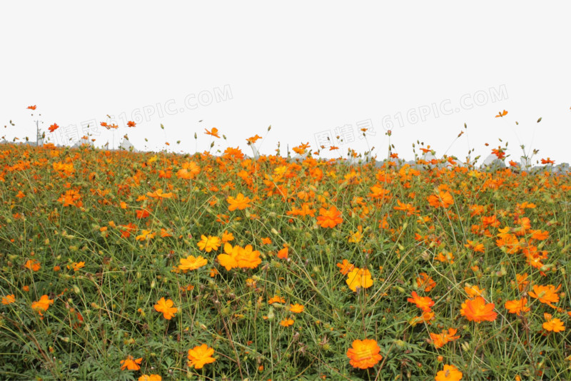 花海装饰素材黄色