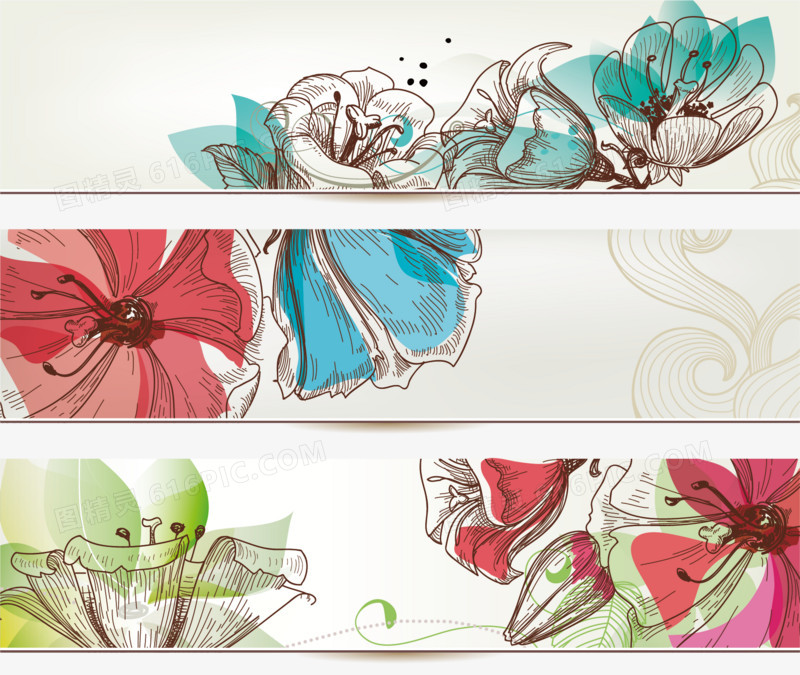 手绘花卉banner设计