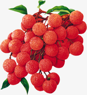 红色水果像荔枝图片