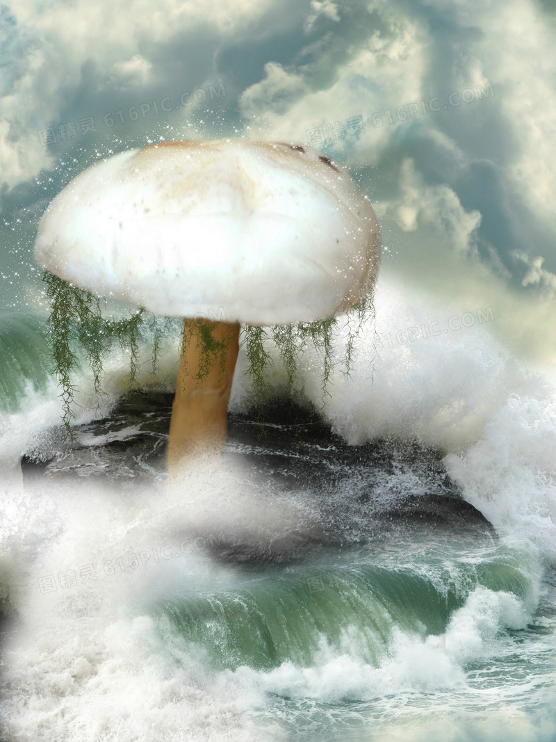 海浪中的蘑菇