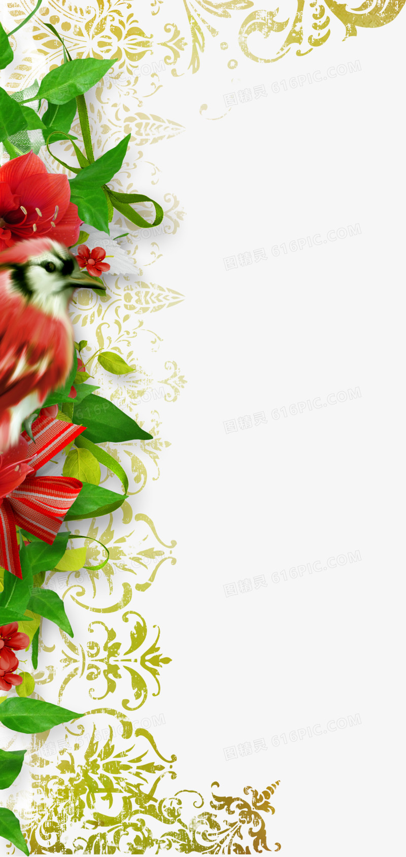 花卉画花卉图片素材 精美清新边框
