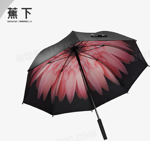 创意黑色的雨伞花卉植物