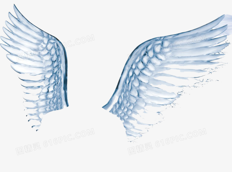 透明翅膀