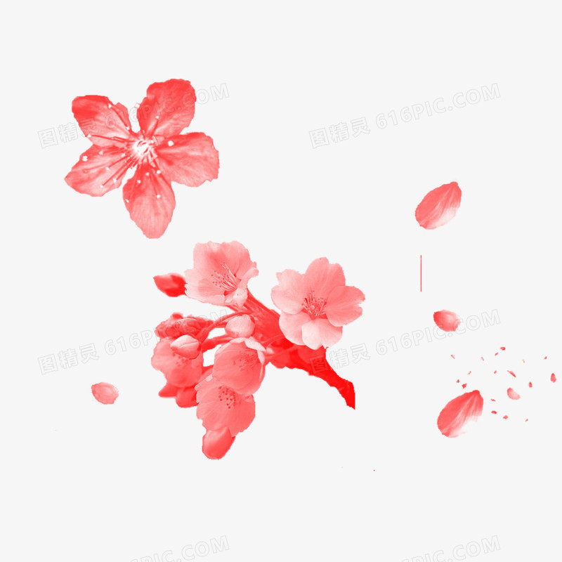 花瓣