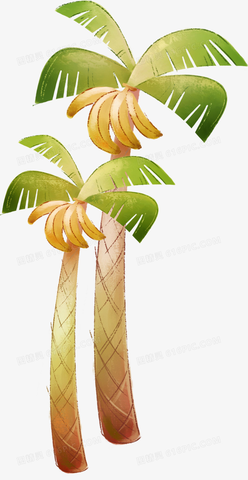 手绘卡通香蕉树绿色