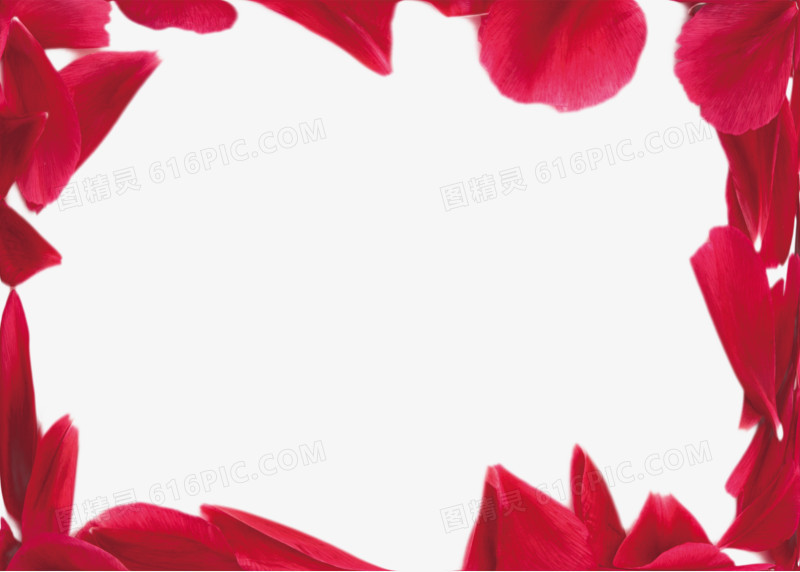 花瓣边框