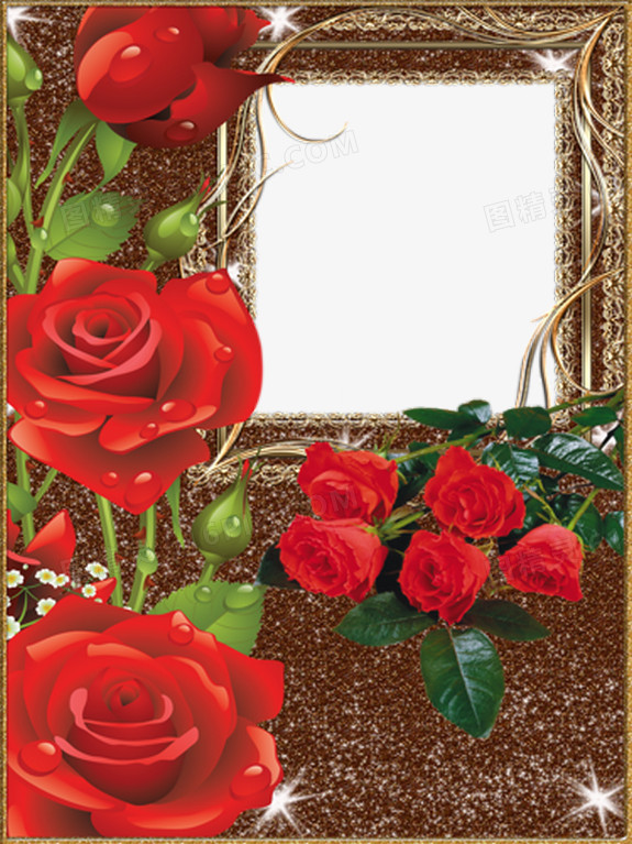 红玫瑰鲜花背景相框