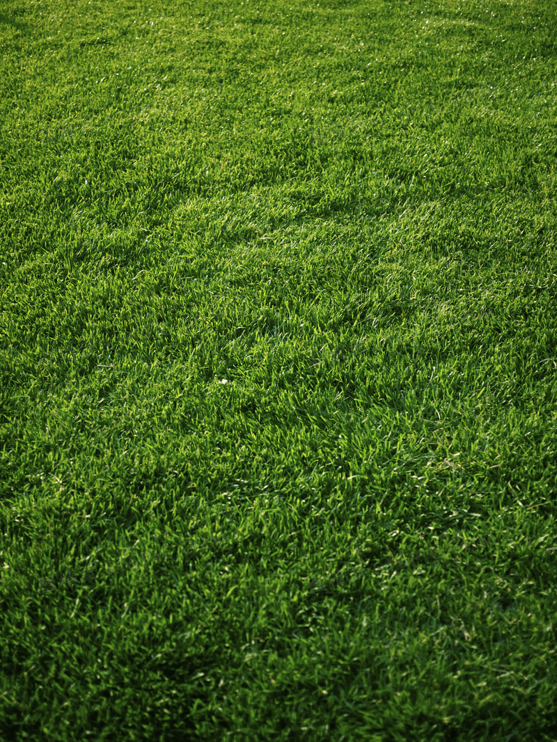 图足球场草坪摄影器材美食摄影草坪草坪摄影pngpng绿色框架摄影高清p