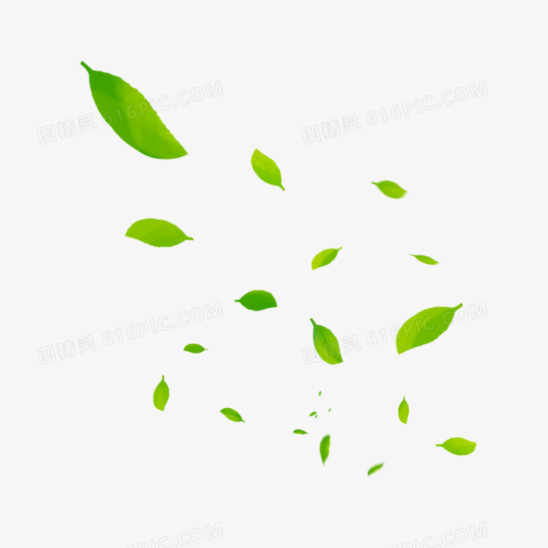 漂浮的绿色树叶