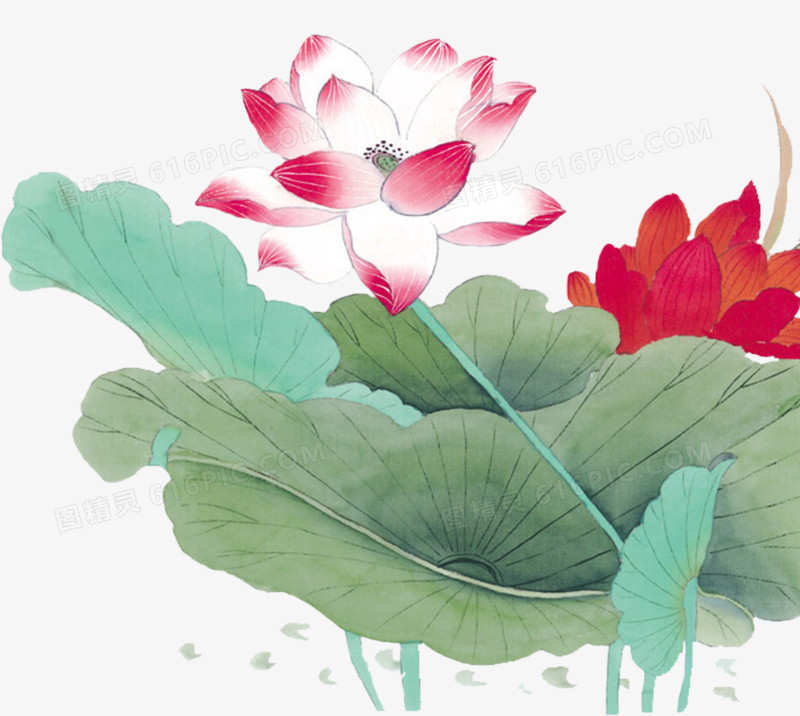 中国风绘画荷花荷叶