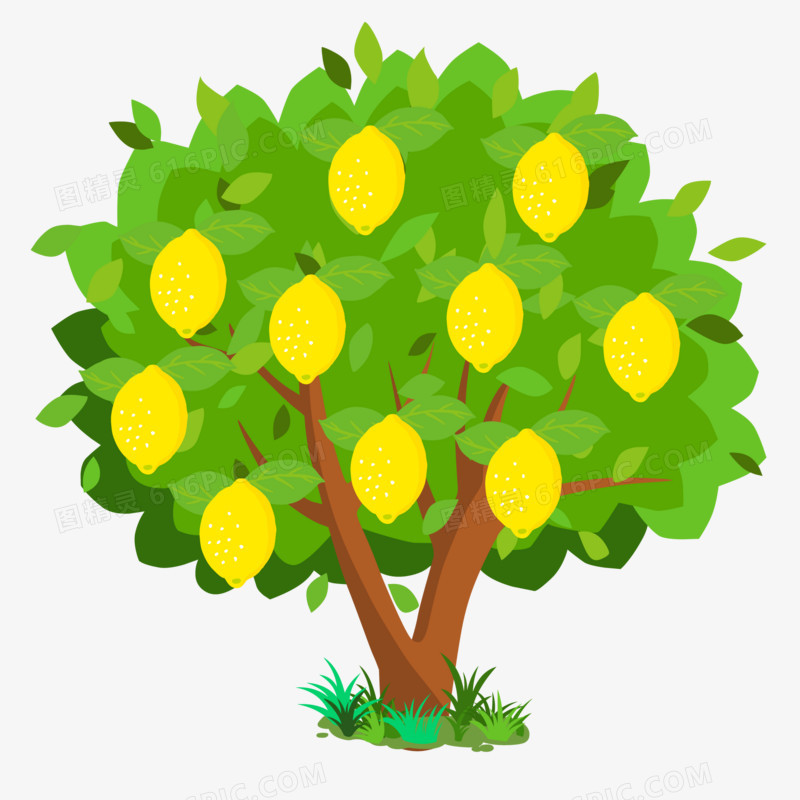 手绘黄色柠檬果树素材