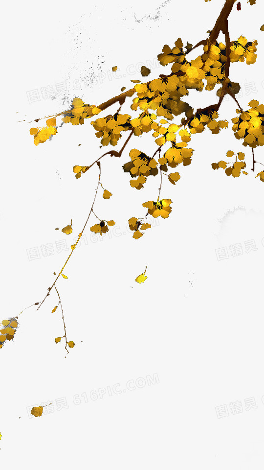黄色叶子树枝