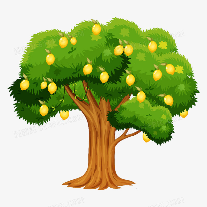 卡通手绘新鲜绿色柠檬果树素材
