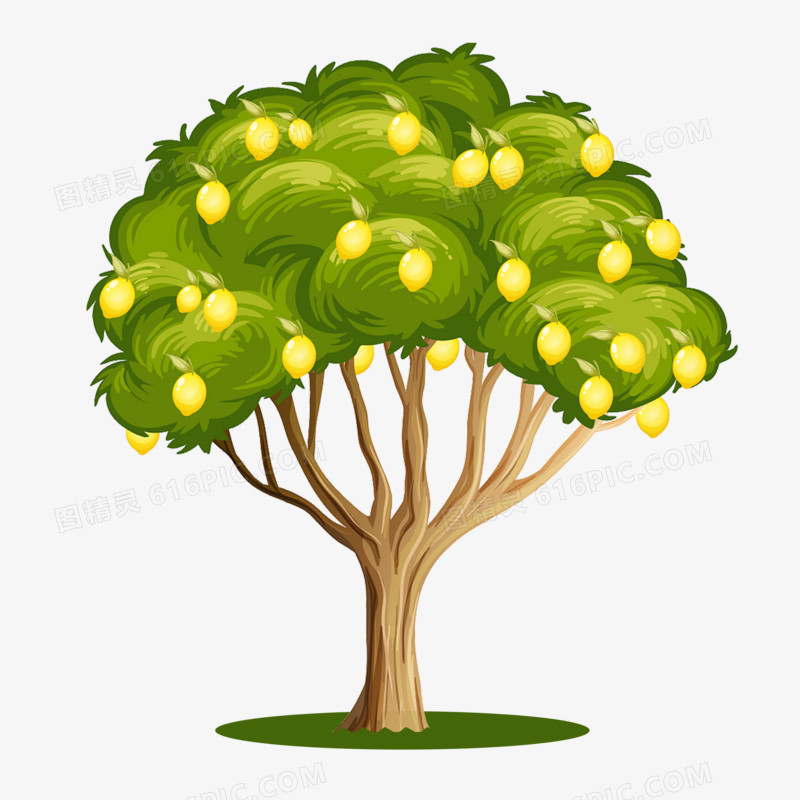 卡通绿色水果柠檬果树素材