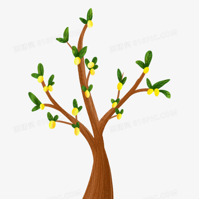 卡通手绘植物柠檬树元素