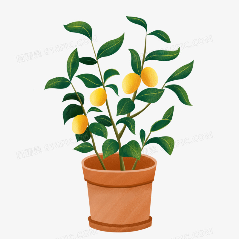 卡通手绘柠檬树盆栽元素