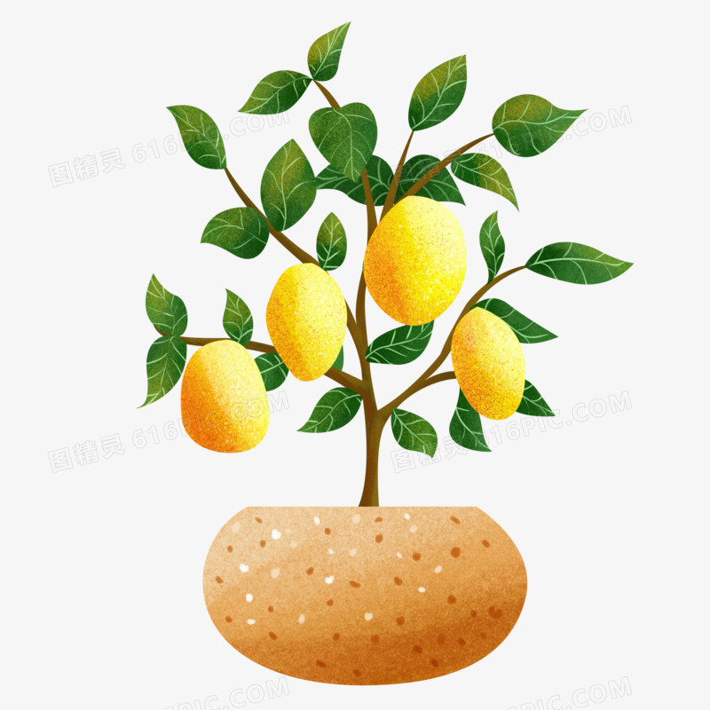 卡通手绘柠檬树元素