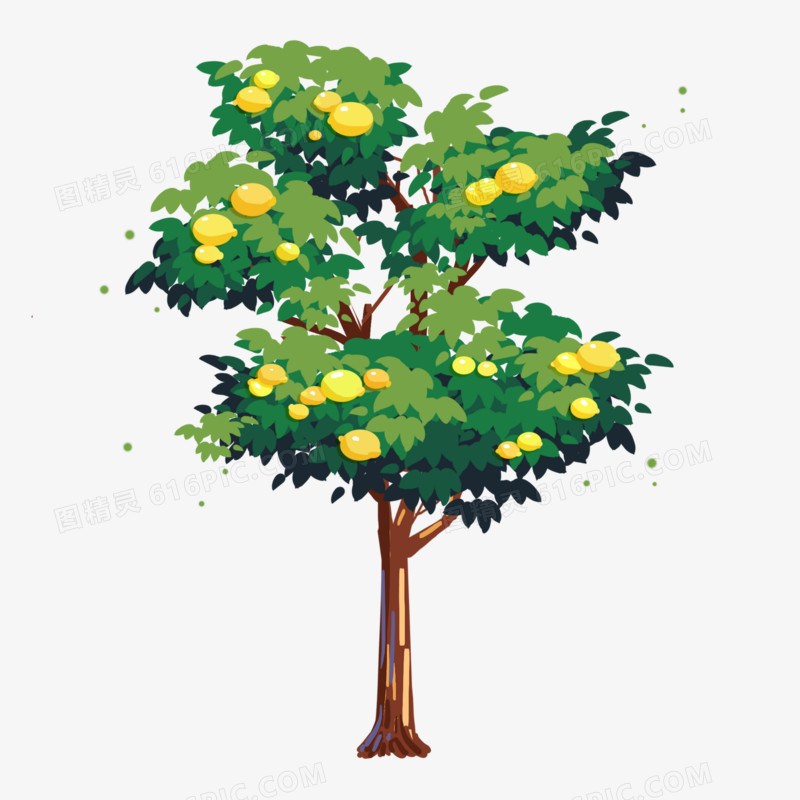 手绘柠檬树和黄色水果柠檬
