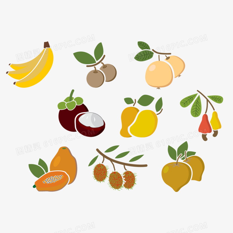 矢量图各种水果的 图