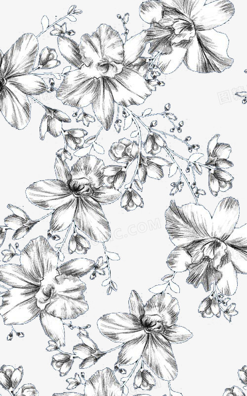 手绘素描花卉