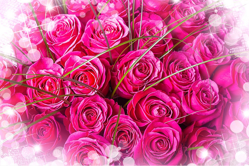 温馨浪漫玫瑰花背景