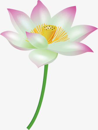 手绘粉色环保花朵