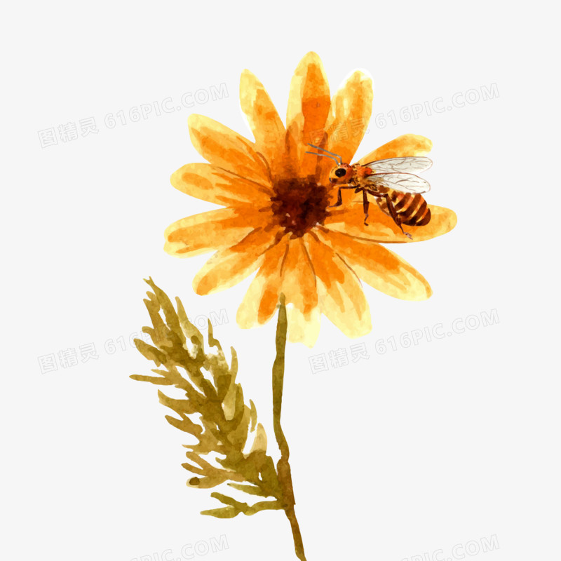 手绘写实蜜蜂采蜜免抠素材