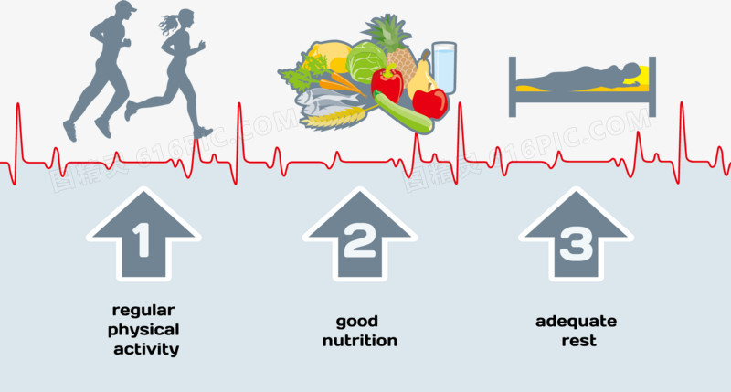 人体运动饮食与健康