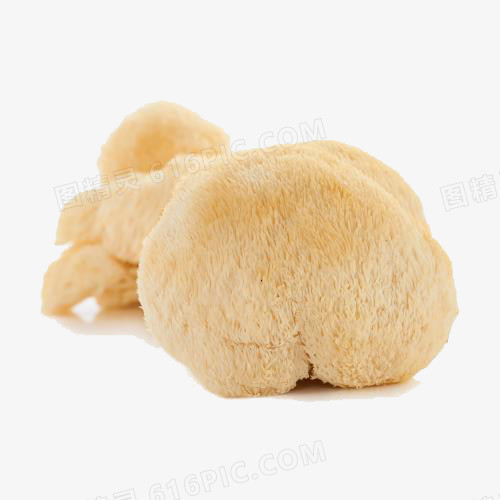 食品猴头菇
