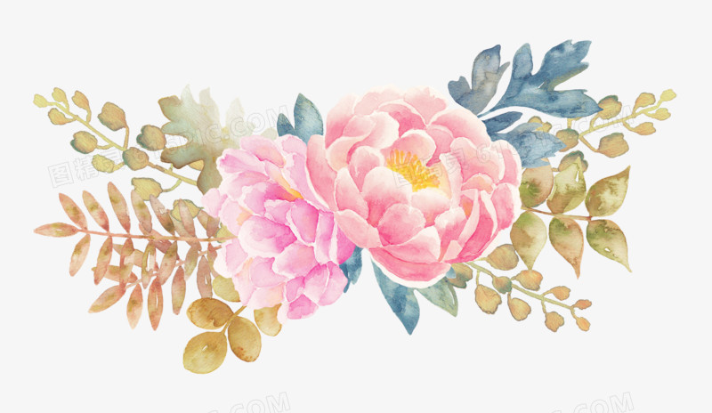 牡丹花手绘水彩花卉元素